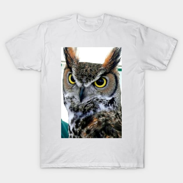 Great Horned Owl Bird Of Prey T-Shirt by Andy Evans Photos